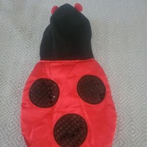 Pet lady bug Halloween outfit